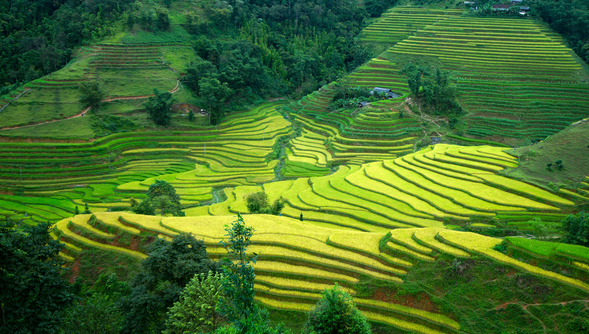 Hà Giang
